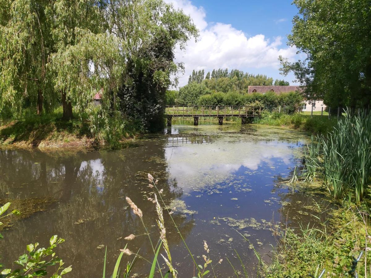Le Bonheur Des Plumes Bed & Breakfast Montmartin-en-Graignes Luaran gambar